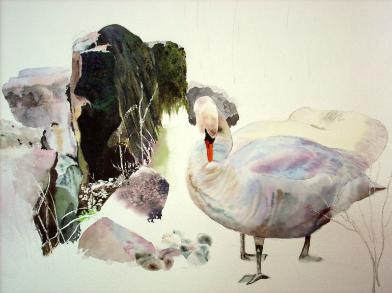 more rocks more rocks