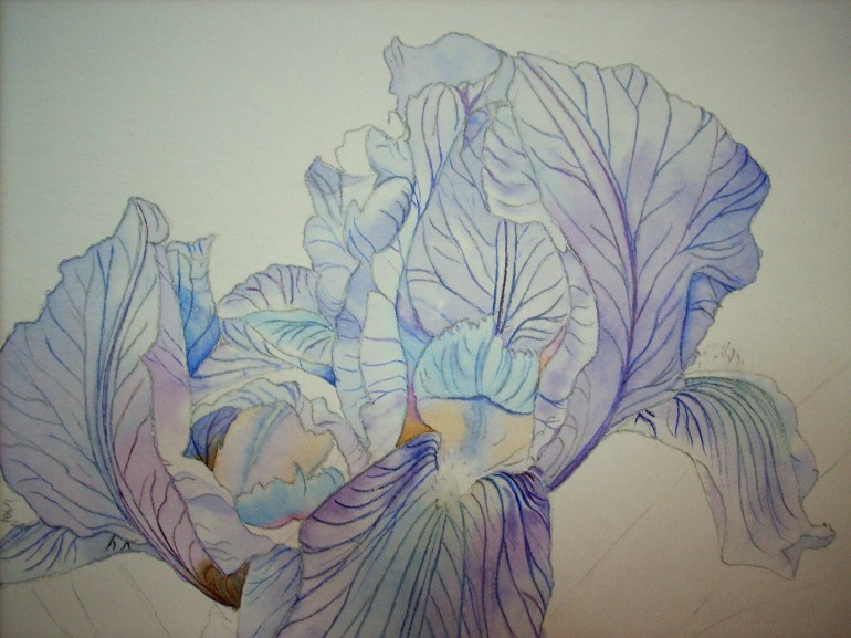 back petals-first washes