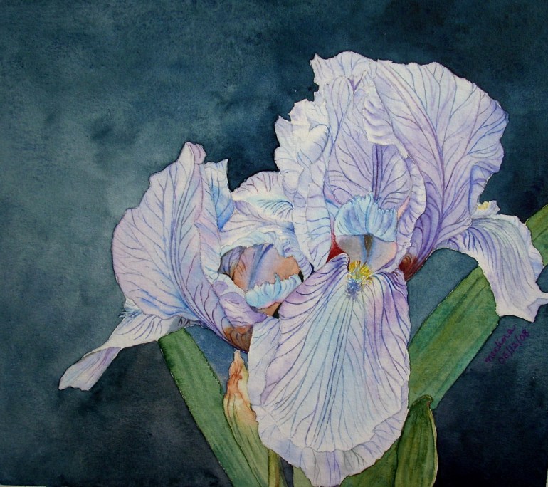 final iris background