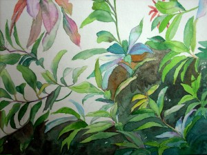 background near the bottom