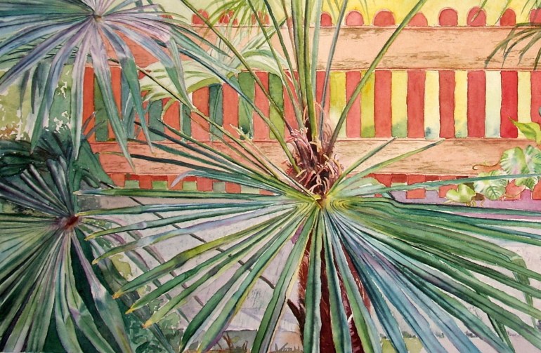 palm-leaves