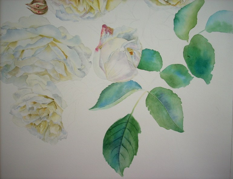 second wash second wash