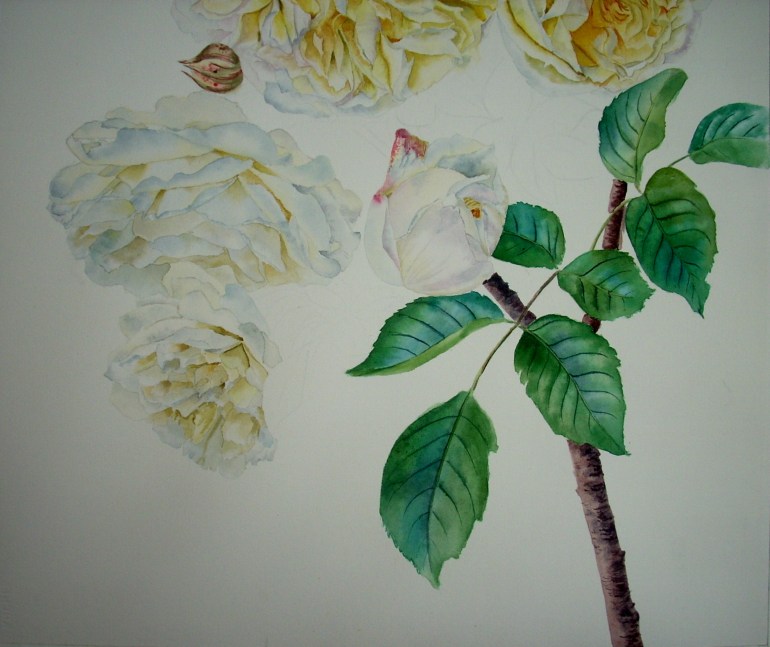 the leaves and stem the leaves and stem