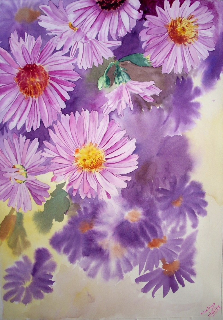 asters