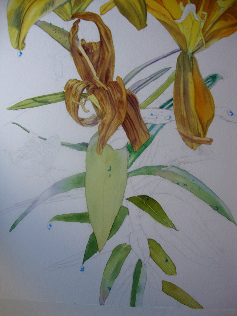 leaves - second layers