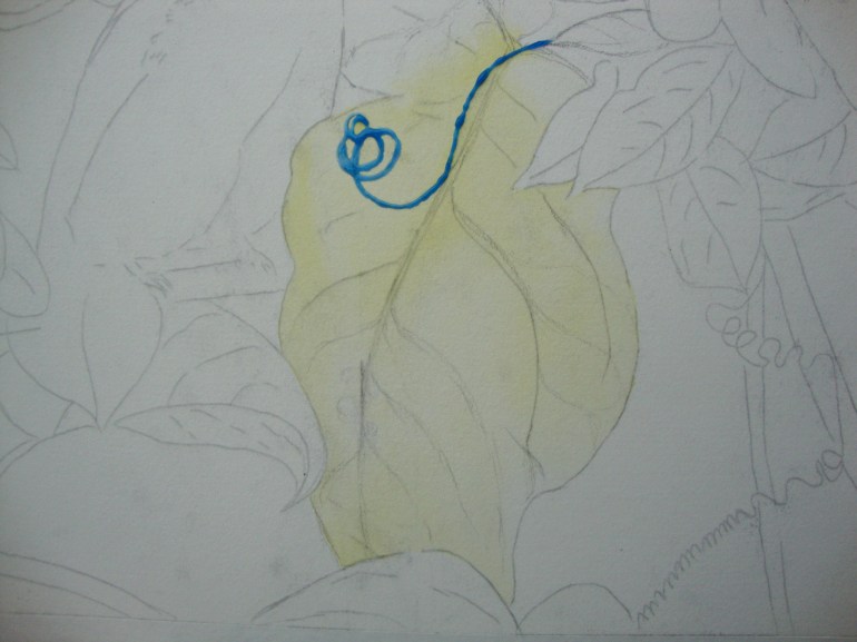 base washes base washes