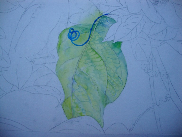 establishing the vein structure.. establishing the vein structure..