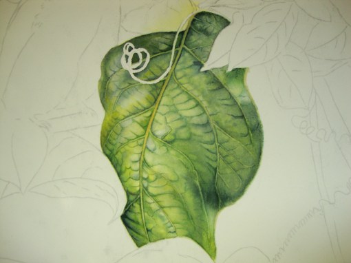 final details.. final details..