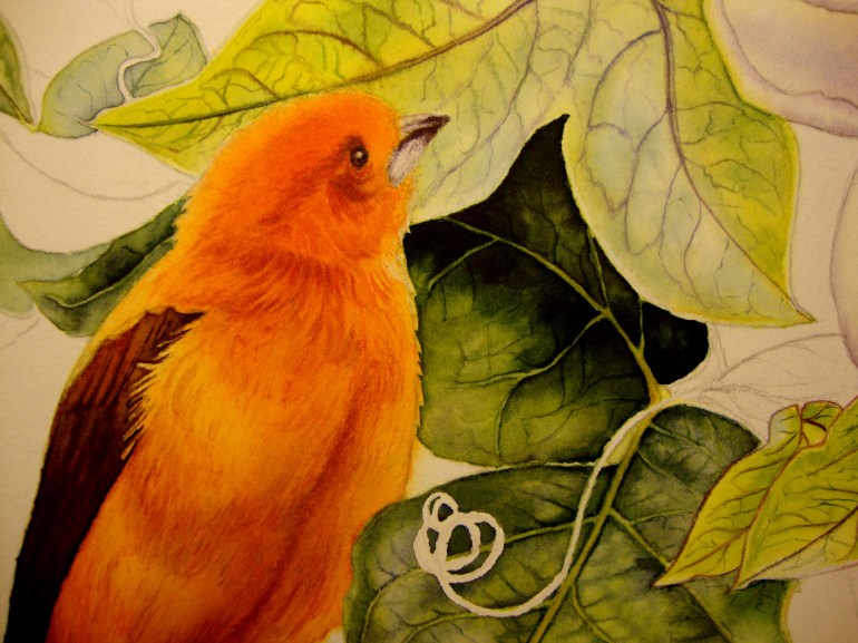 details for leaf in shadow