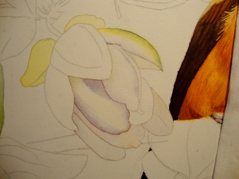 first layers for the bud