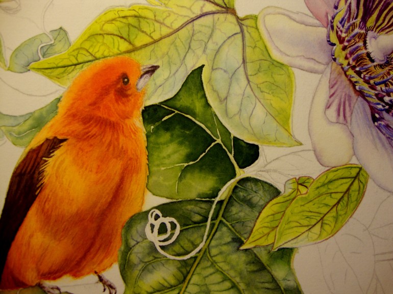 second layers for leaf in shadow