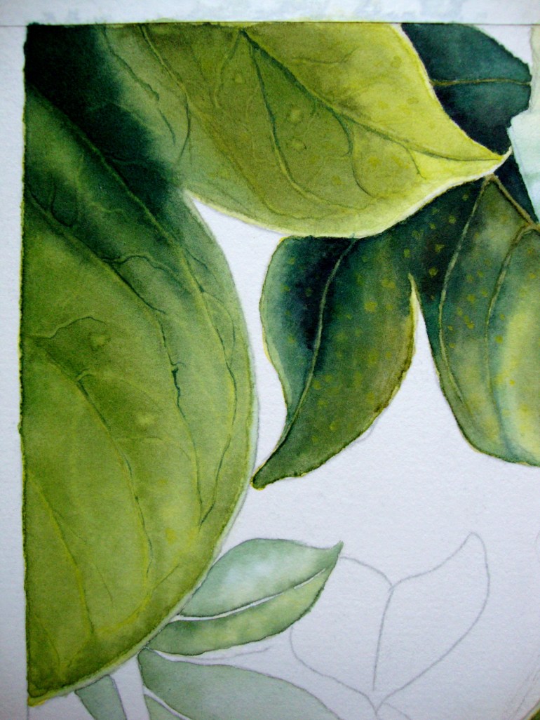 light veins painted on darker wash