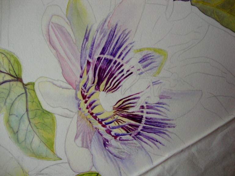 darker values for the filaments