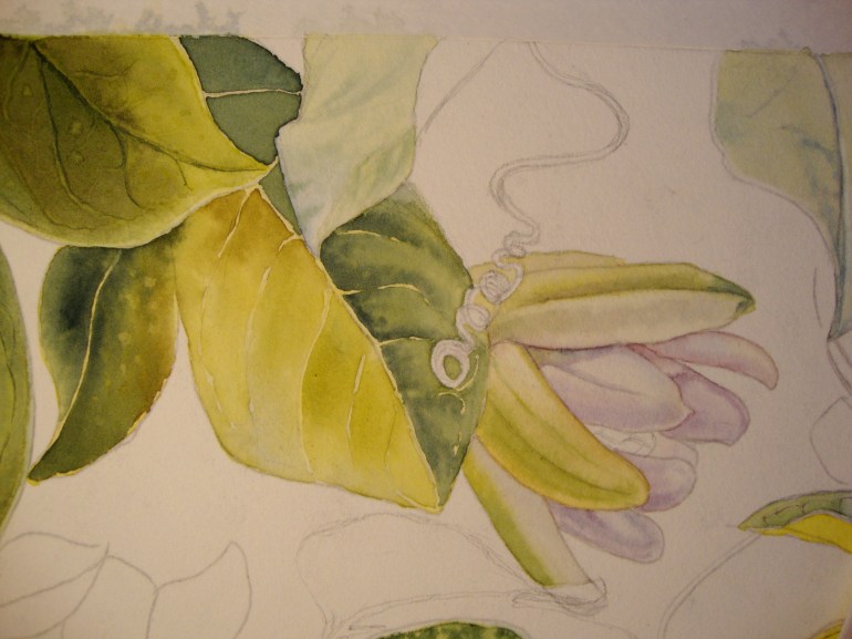 second layers for bud