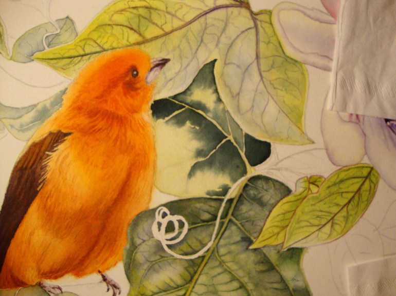 first layers for leaf in shadow