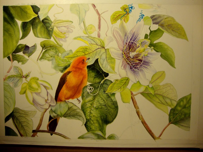 second layers for leaves and stems