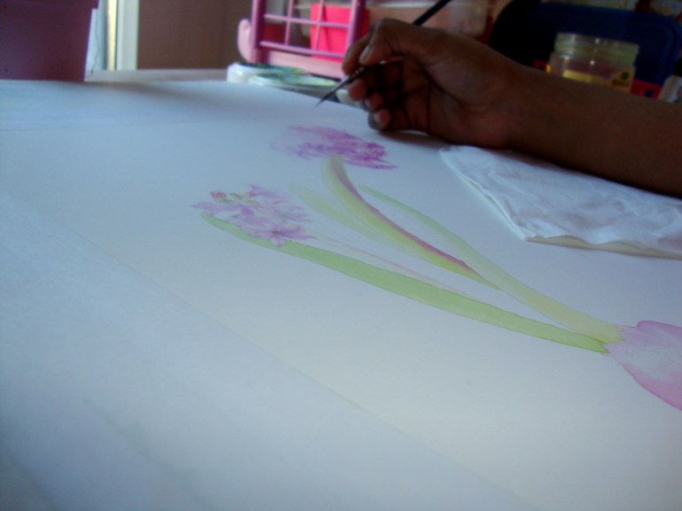 Hyacinthus orientalis