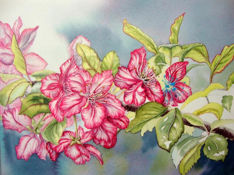 apple blossoms