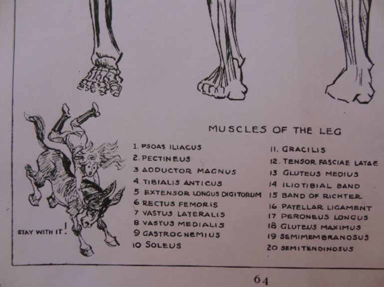 Figure Drawing for all its Worth