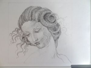Study of Da Vinci´s Leda - stage 5