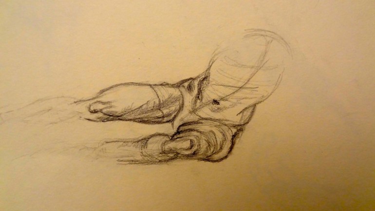 Leg Muscles Leg Muscles