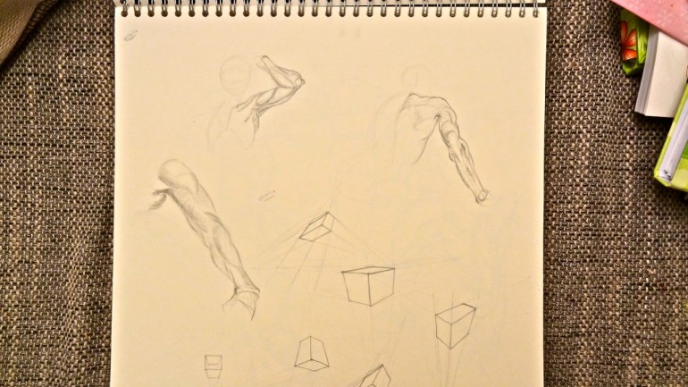 Arm studies (Glenn Vilppu)
