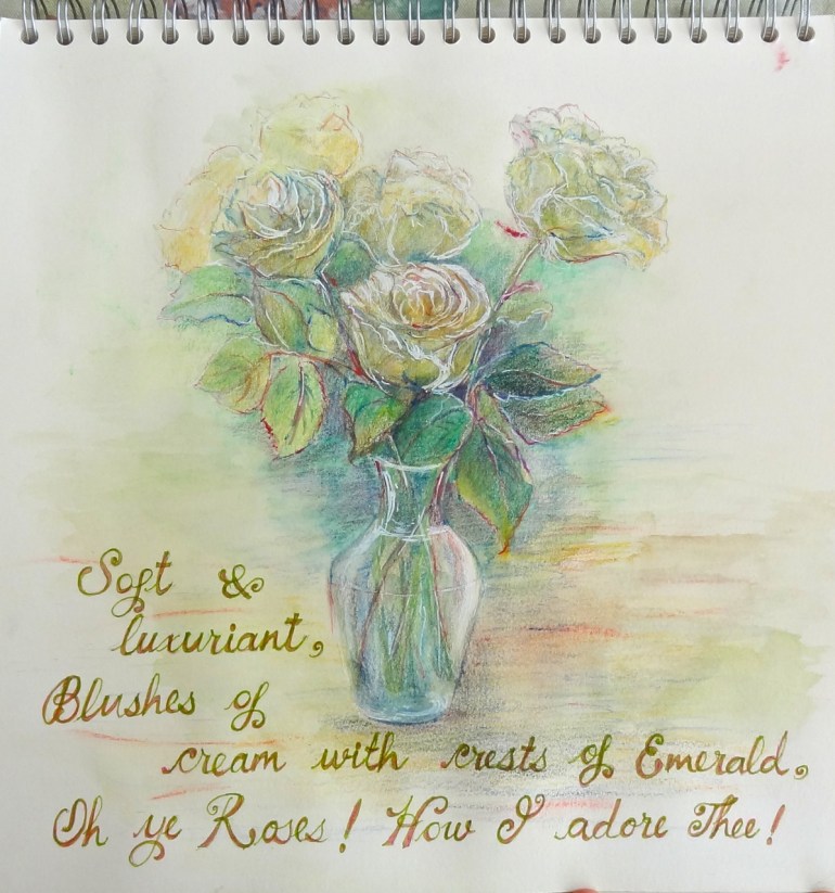 Cream Roses Sketch