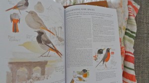 'The Laws guide to drawing birds' by John Muir Laws