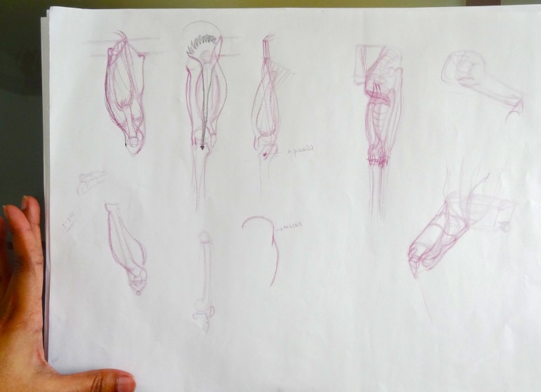 Leg studies from Vilppu