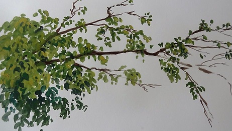 gouche foliage study