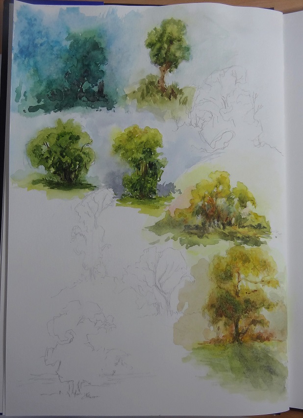 landscapecolorstudies