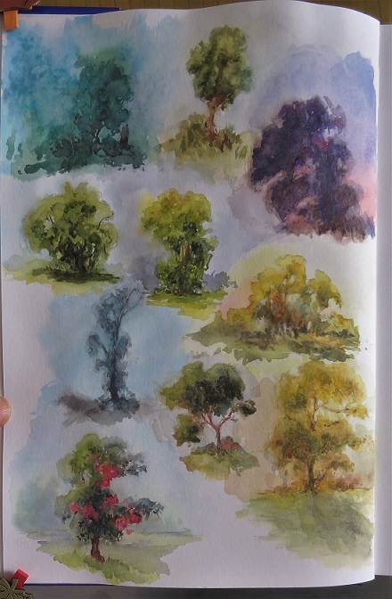 trees_in_various_lightingconditions