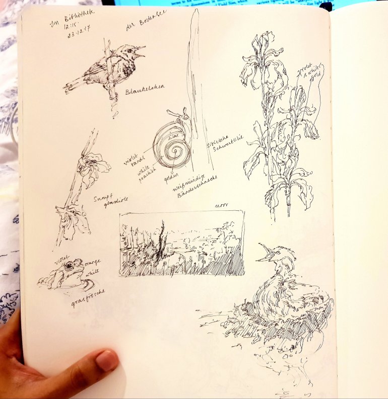 Schwarzwald, black forest