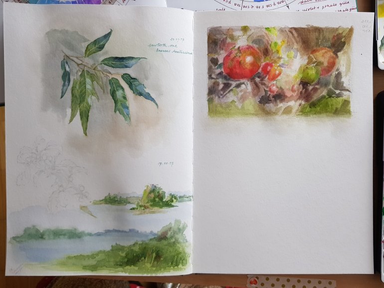 Oak foliage watercolor