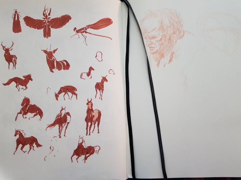 Animal gestures