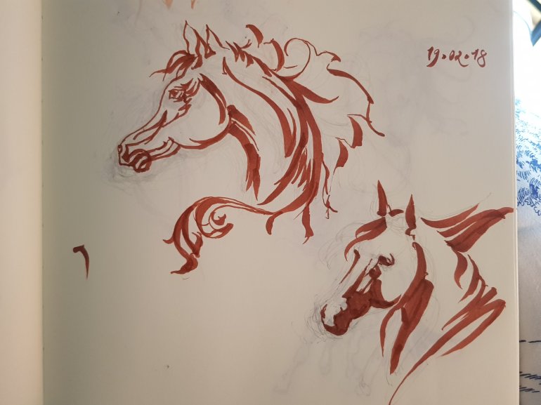 Horse sketches