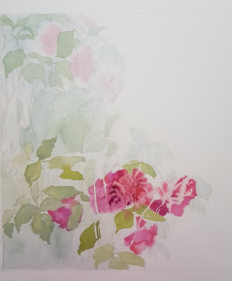 First washes roses painting