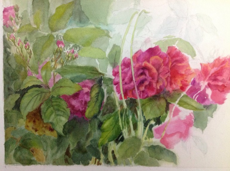 Roses WIP painting