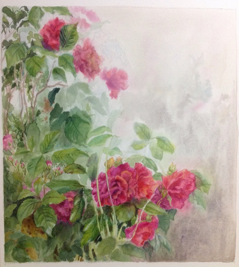 Rose painting WIP Rose painting WIP