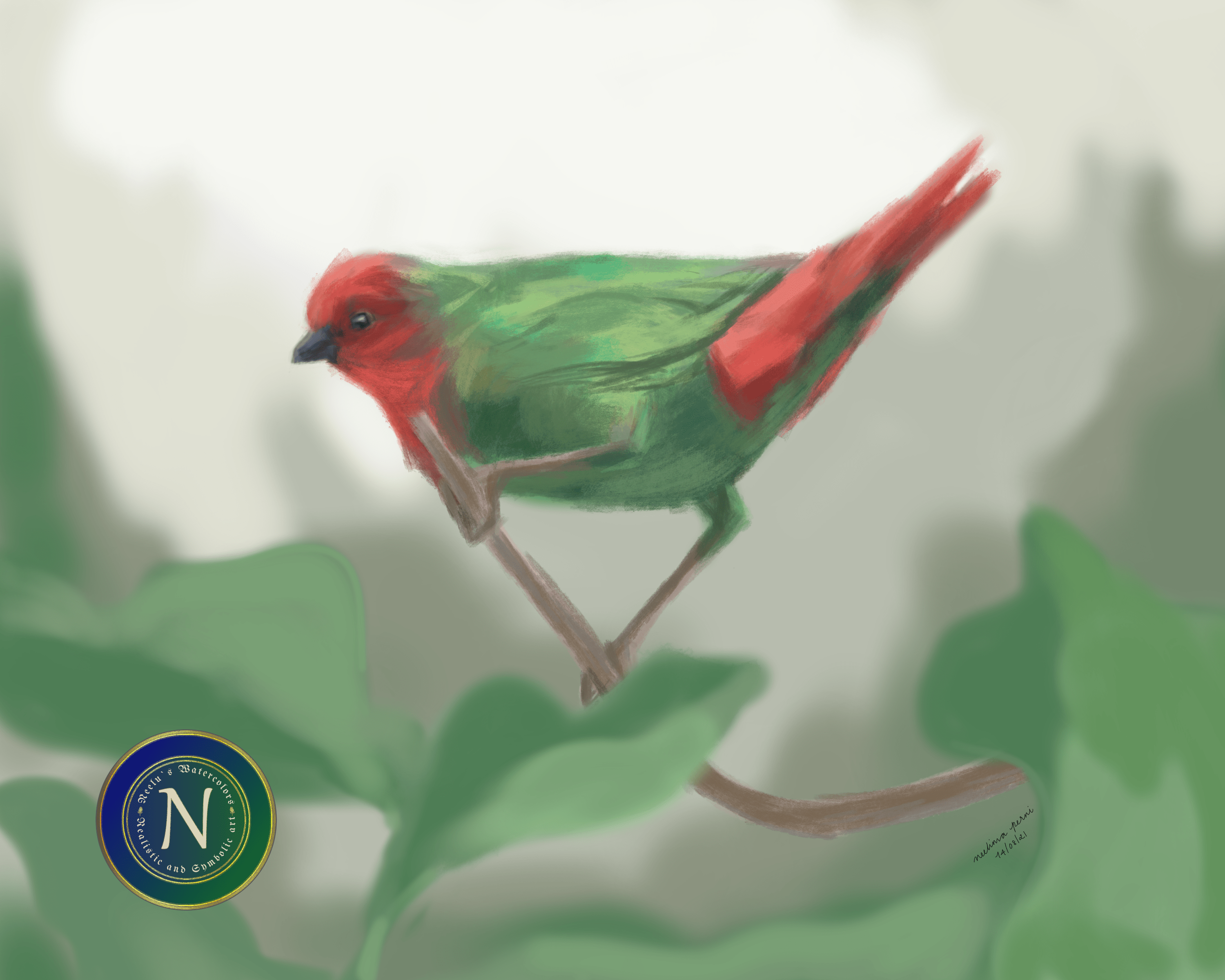 Redthroated parrotfinch songbird wall art ; limited edition fine art print