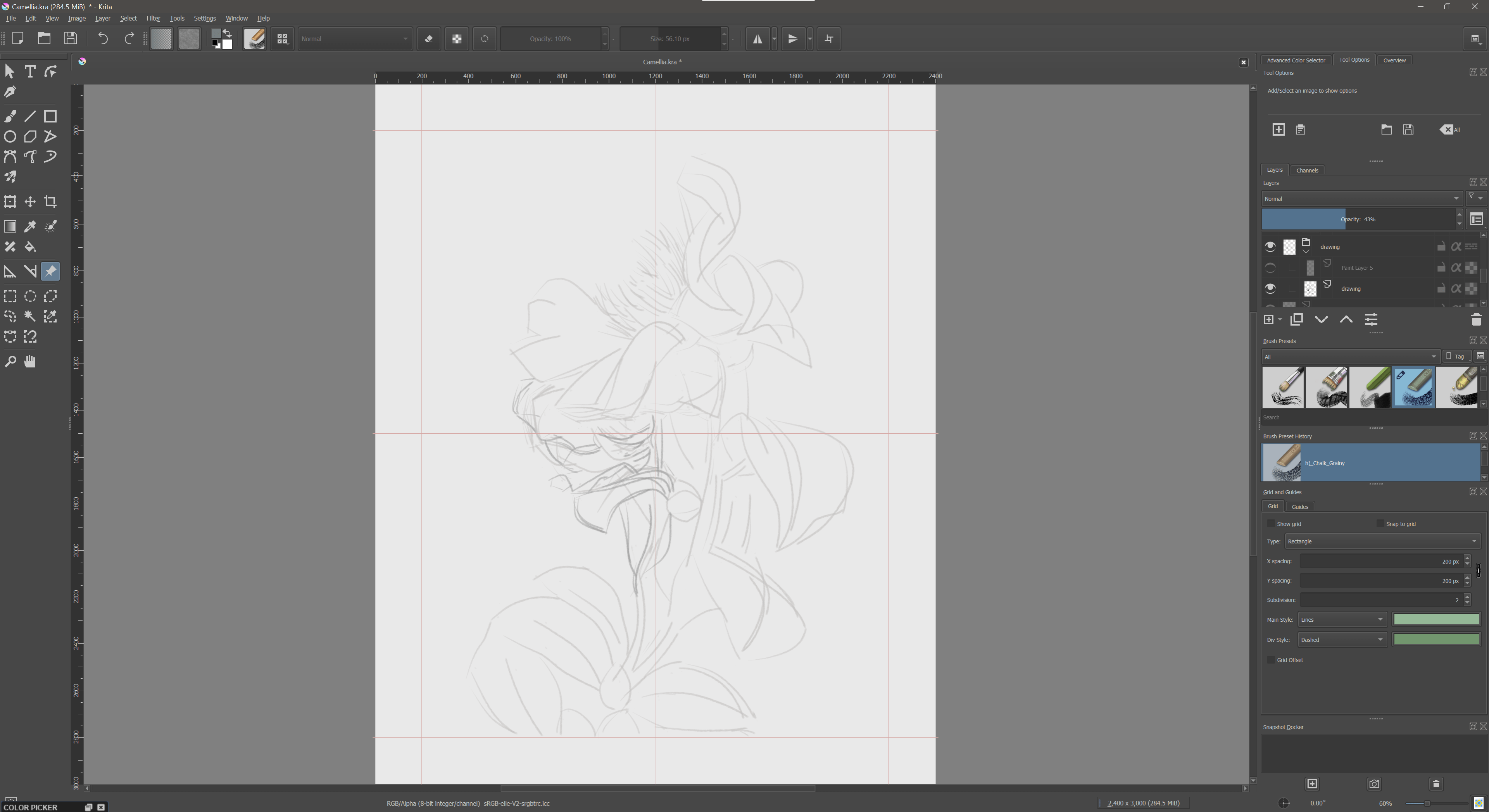 Krita worspace , Camellia painting WIP