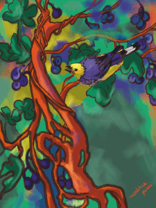 Bird and fig fruits art print