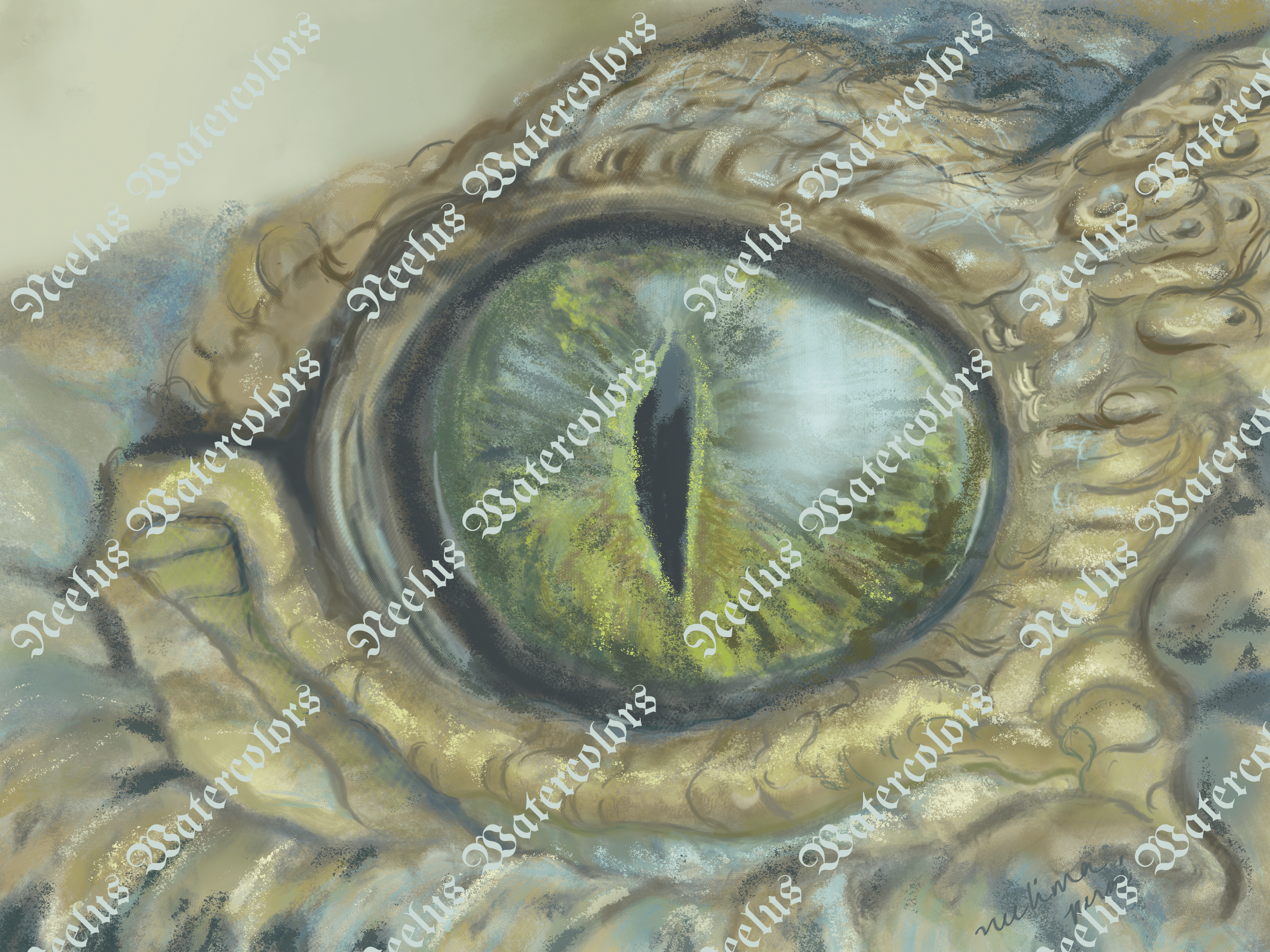 Crocodile eye study