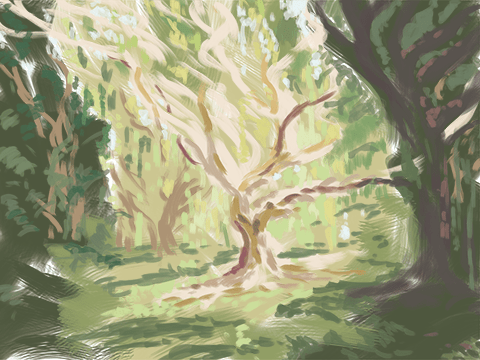 Landscape forest painting - WIP