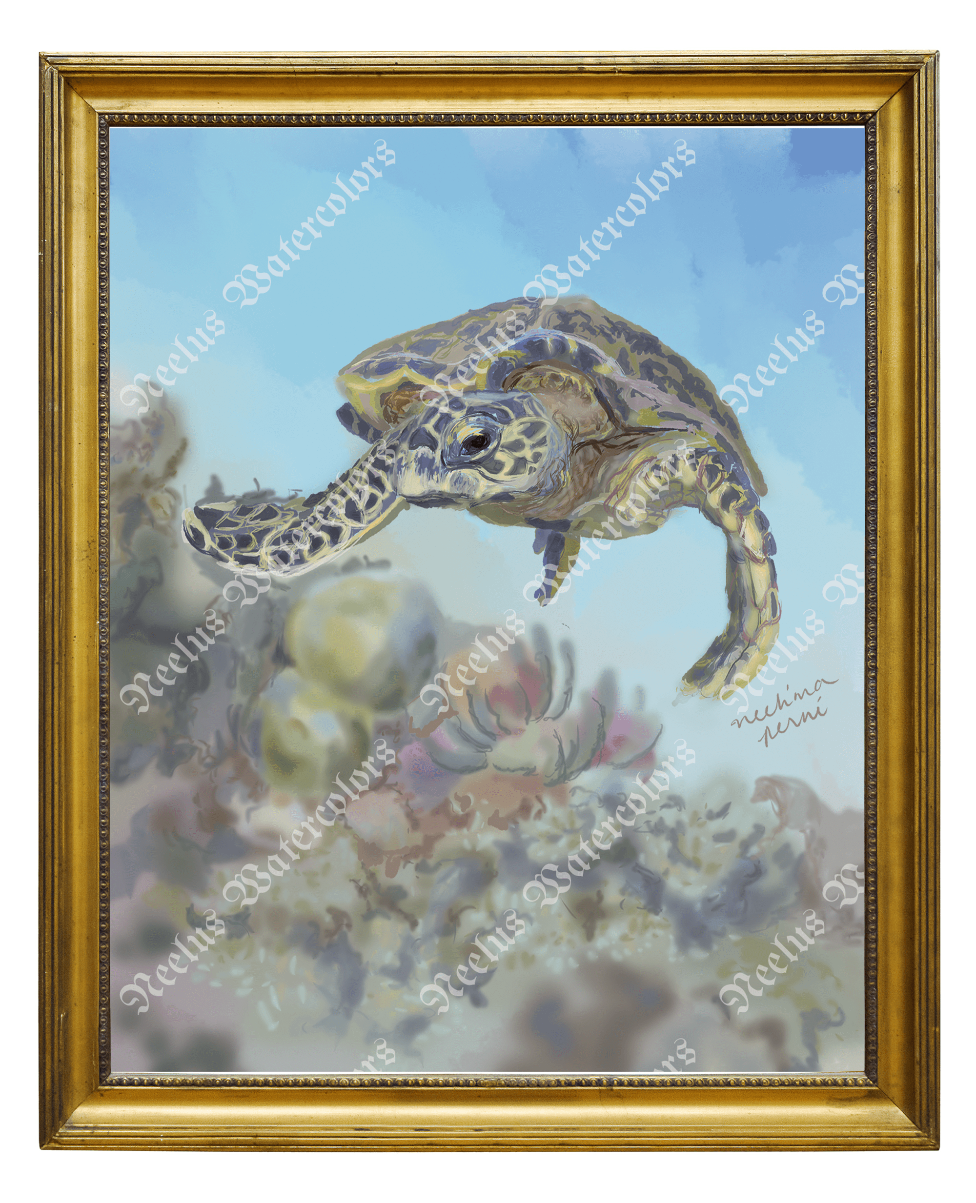 Sea turtle - Marine life                                