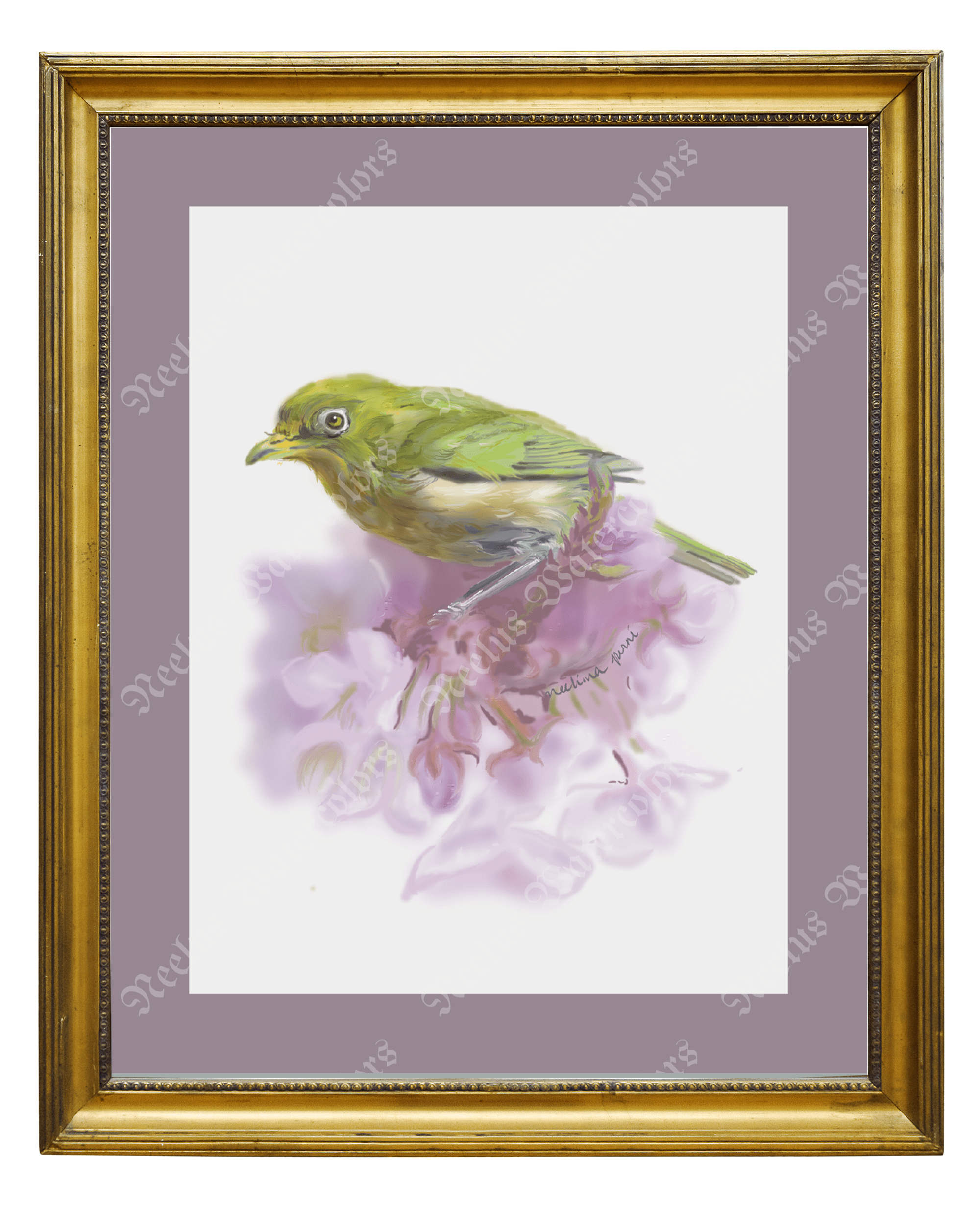 Silver eye bird painting