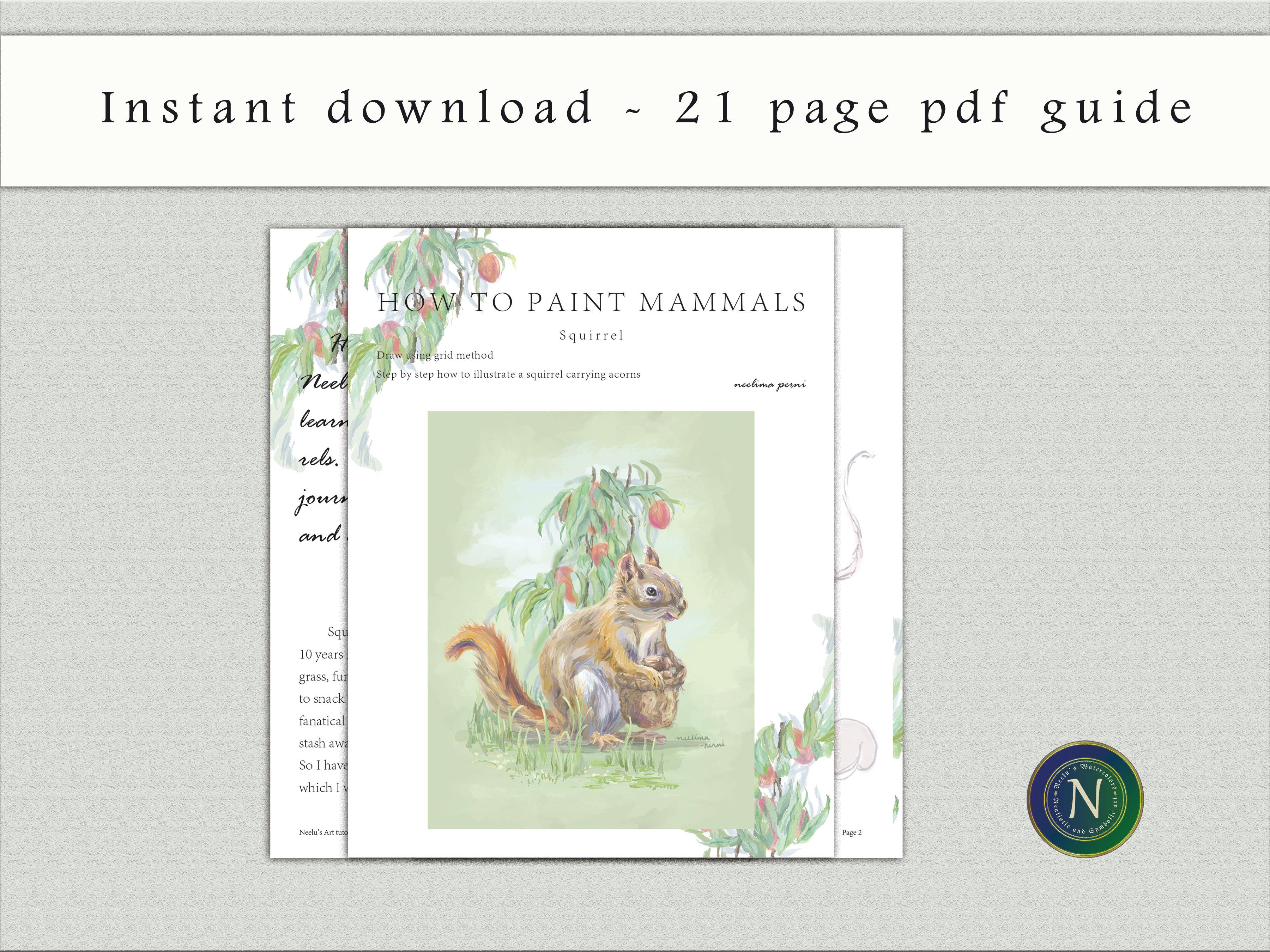 Art tutorial - Draw and mammals - Squirrel