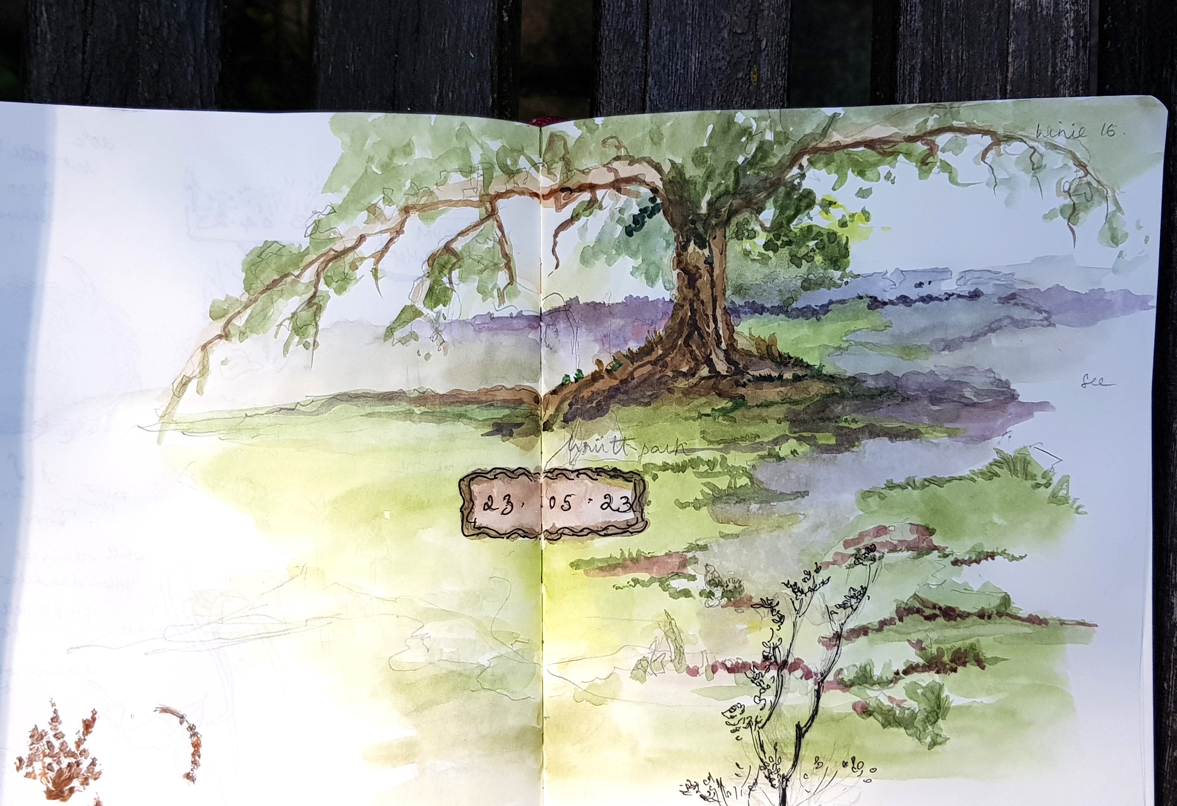 Oak tree watercolor sketch