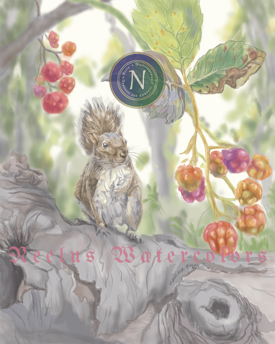 Squirrel and berries color sketch