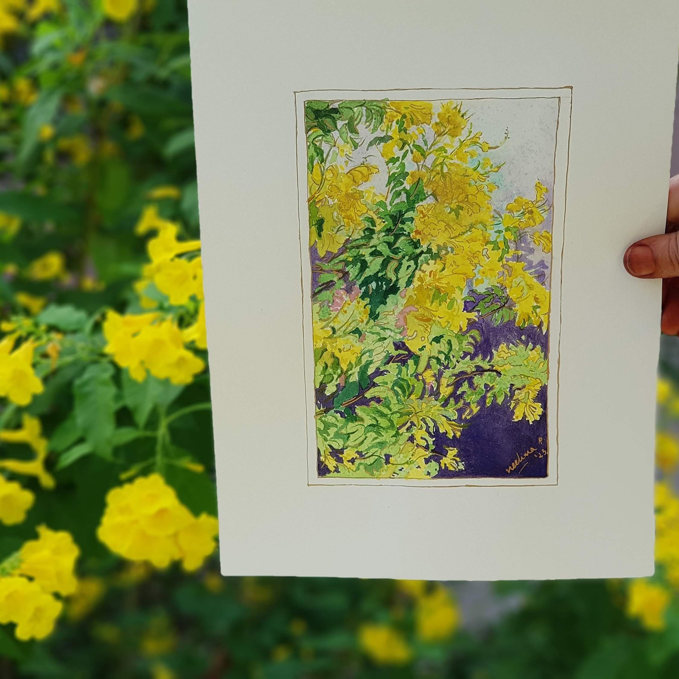 Yellow allamanda semi abstract art